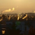 Image for Particulate matter