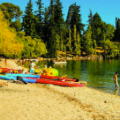 Image for Recreational water