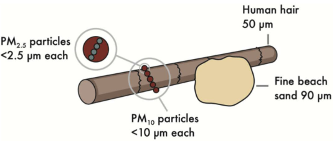 Fig 1: Relative size of particulate matter